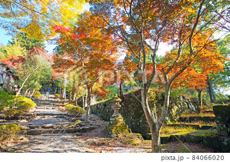 紅葉する秋の福岡県添田町の英彦山神宮参道 紅葉する秋の福岡県添田町の英彦山神宮参道 84066020