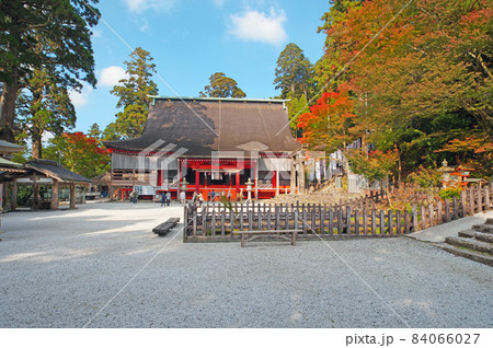 福岡県添田町の英彦山神宮奉幣殿境内と色づく紅葉 福岡県添田町の英彦山神宮奉幣殿境内と色づく紅葉 84066027