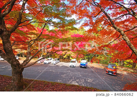 福岡県英彦山中腹にある豊前坊駐車場の紅葉 84066062