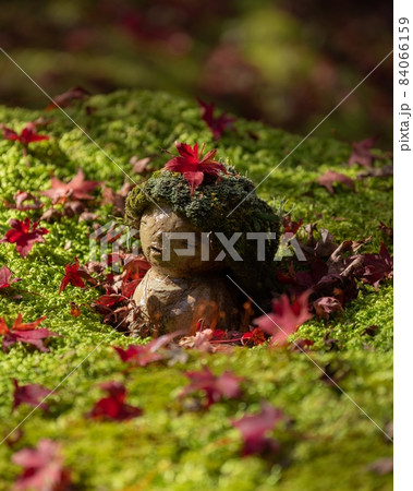 京都の紅葉　大原三千院 84066159