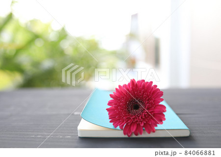 Blue notebook with Red Gerbera flower 84066881