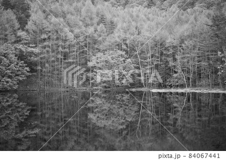 長野県　御射鹿池 84067441