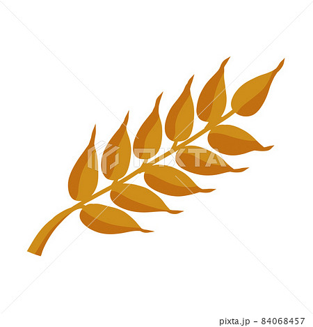 Ear of wheat. Golden stem of plant. Harvest. Seeding and yield. 84068457