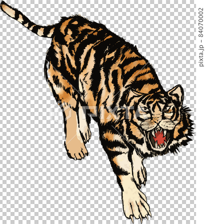 トラのリアルな墨絵カラーのイラスト素材 [84070002] - PIXTA