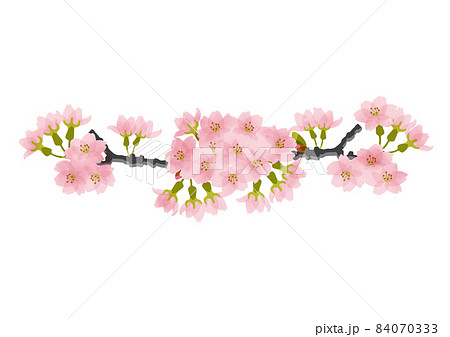 桜の花と蕾のついた枝フレームのイラスト素材