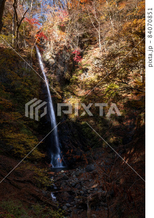 大菩薩峠の山歩きの帰りに見つけた赤と黄色の木々の葉の中に見える白い一筋の多摩川源流の小菅村の白糸の滝 大菩薩峠の山歩きの帰りに見つけた赤と黄色の木々の葉の中に見える白い一筋の多摩川源流の小菅村の白糸の滝 84070851