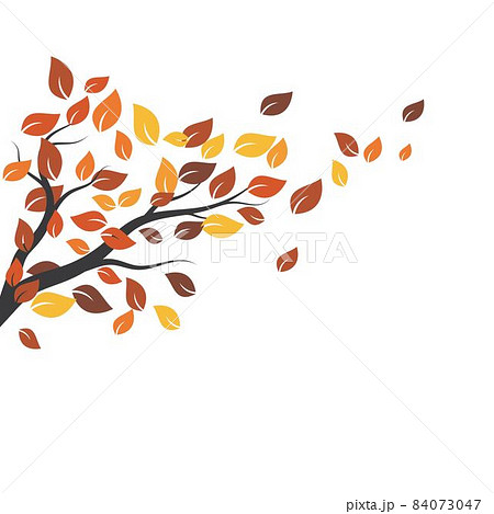 Old tree nature 84073047