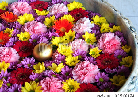 行田八幡神社周辺の花手水、金の玉と赤と紫と黄色の花々【埼玉県行田市】 行田八幡神社周辺の花手水、金の玉と赤と紫と黄色の花々【埼玉県行田市】 84073202