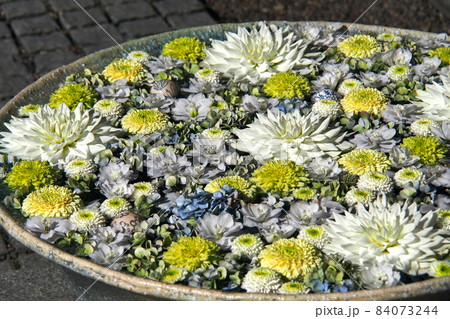行田八幡神社周辺の花手水、白と黄色と紫の菊【埼玉県行田市】 84073244