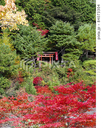 高野山の山に建てられた神社 84073304