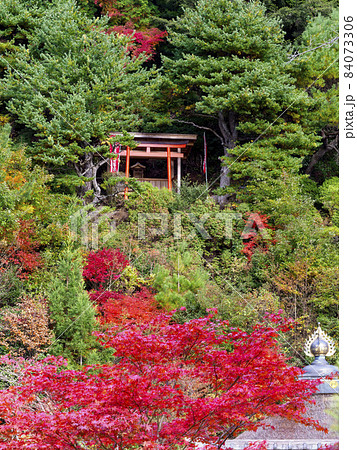 高野山の山に建てられた神社 84073306