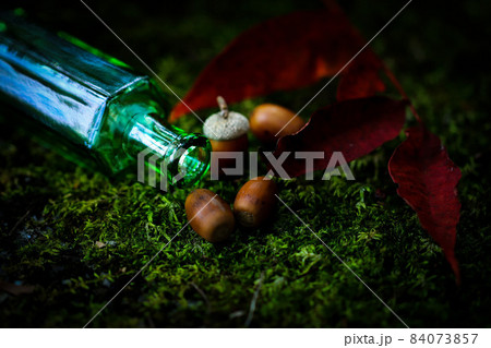 苔の上にグリーンのボトル赤い落ち葉とどんぐり 苔の上にグリーンのボトル赤い落ち葉とどんぐり 84073857