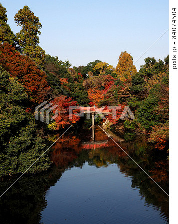 高岡古城公園 朝陽橋 1 84074504