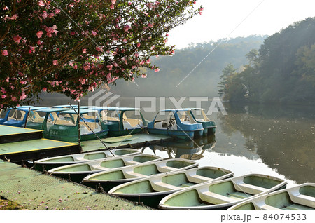 宝が池公園 秋の景色 京都市 宝が池公園 秋の景色 京都市 84074533