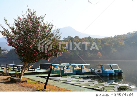 宝が池公園　秋の景色　京都市 84074534