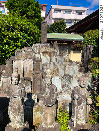 東京中野・福寿院の無縁塚 東京中野・福寿院の無縁塚 84075087