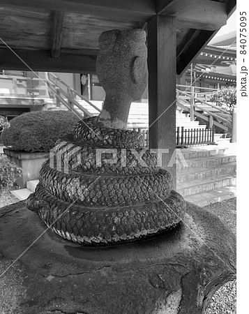 東京中野・福寿院の蛇身弁財天 東京中野・福寿院の蛇身弁財天 84075095