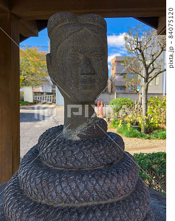 東京中野・福寿院の蛇身弁財天 84075120