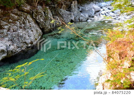 阿寺ブルーの狸ヶ淵 84075220