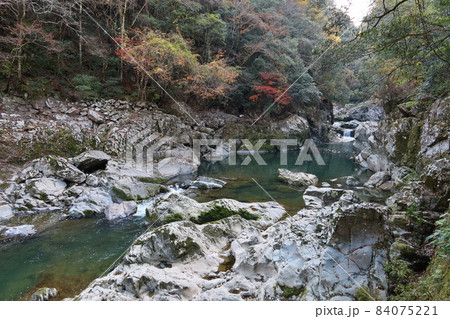 日本の紅葉時期の川の風景：山口県山口市の長門峡と阿武川 84075221
