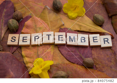 September letters with yellow and red leaves and fall fruits. Minimal flat lay creative concept. Autumn composition. Dried leaves on background.  84075482