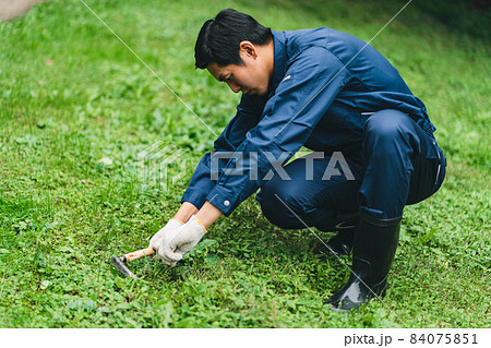 公園整備 公園整備 84075851