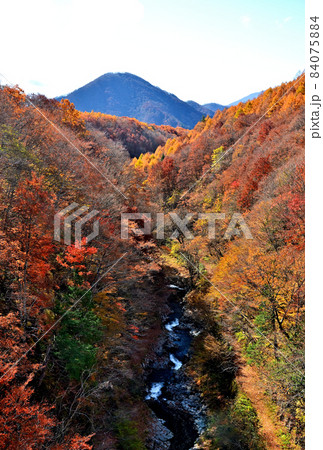 紅葉が色づく中津川渓谷と安達太良山 紅葉が色づく中津川渓谷と安達太良山 84075884