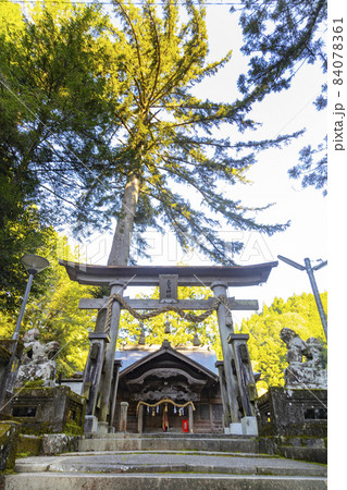 高知県梼原町　三嶋神社 84078361