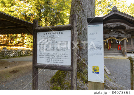 高知県梼原町　三嶋神社　ハリモミの案内看板 84078362
