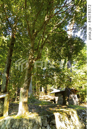 坂本龍馬 脱藩の道 坂本龍馬 脱藩の道 84078372