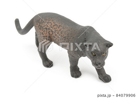 ブラックパンサー 84079906