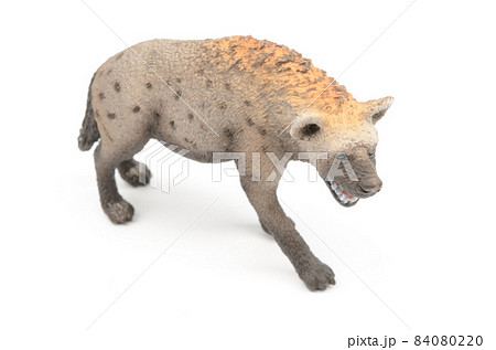 ハイエナ 84080220