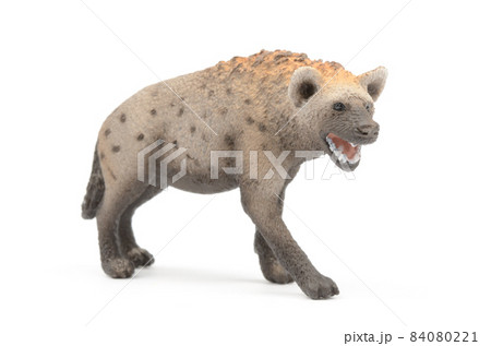ハイエナ ハイエナ 84080221
