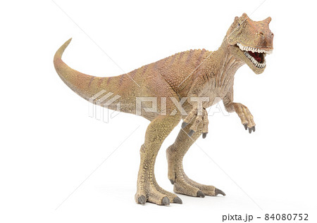 ティラノサウルス ティラノサウルス 84080752