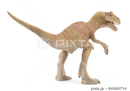 ティラノサウルス 84080754