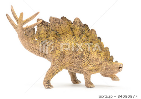 ステゴサウルス 84080877