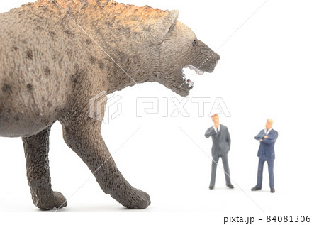 ビジネスイメージ 84081306