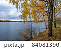 Autumn landscape with a large reservoir and birch trees with yellow leaves. 84081390