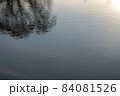 Background with the reflection of blurred trees in the water and with light ripples. 84081526