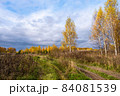 Beautiful autumn landscape with a rural road and trees with yellow leaves. 84081539