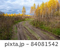 Beautiful autumn landscape with a rural road and trees with yellow leaves. 84081542