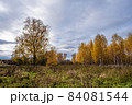 Autumn landscape with a birch grove and a large lonely tree on a cloudy day. 84081544