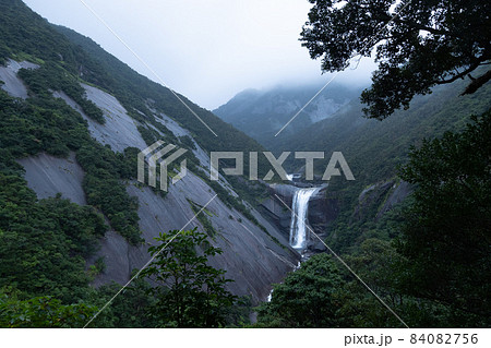 屋久島にて凄まじい水量で荒々しく落ちる千尋の滝 屋久島にて凄まじい水量で荒々しく落ちる千尋の滝 84082756