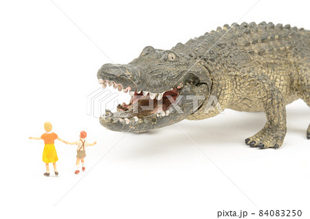 ワニと子供 ワニと子供 84083250