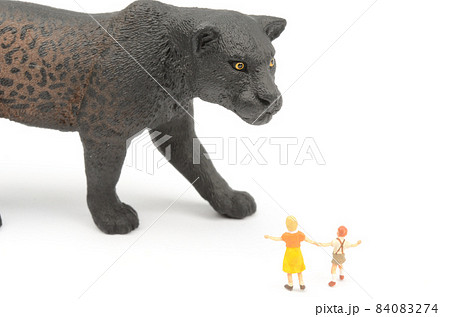 クロヒョウと子供 84083274