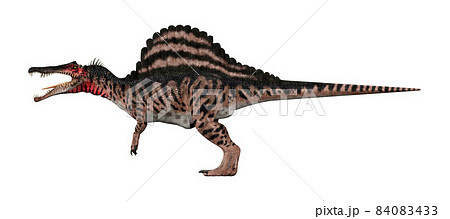 スピノサウルス☆Spinosaurus 84083433