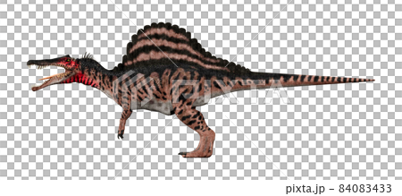 スピノサウルス☆Spinosaurus 84083433