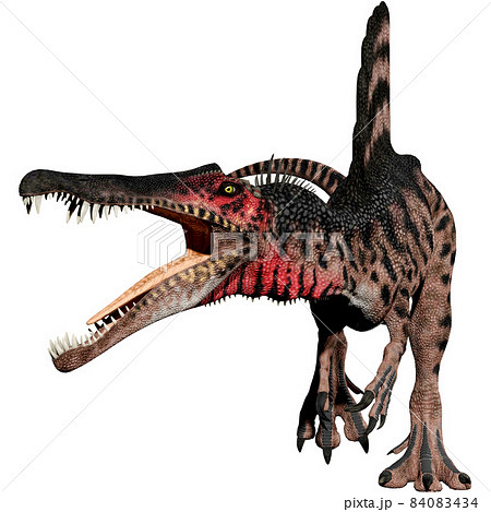 スピノサウルス☆Spinosaurus 84083434