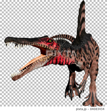 スピノサウルス☆Spinosaurus 84083434