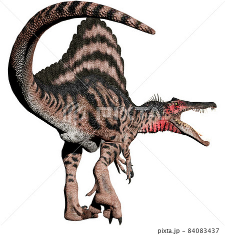 スピノサウルス☆Spinosaurus 84083437